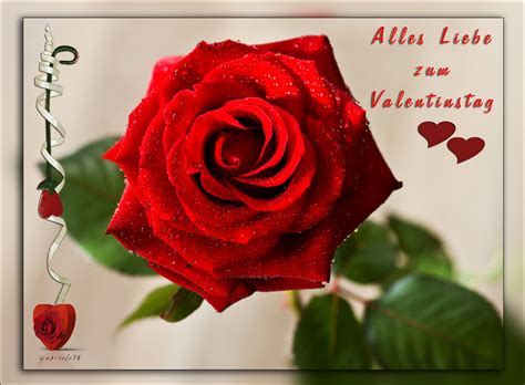 valentinstag bilder kostenlos|73.764 Kostenlose Bilder zum Thema Happy Valentinstag